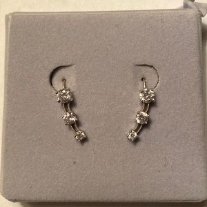 14 kt White Gold Earrings